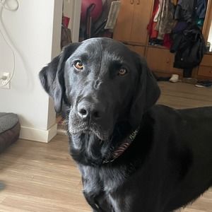 Meet your Posher, Jackie